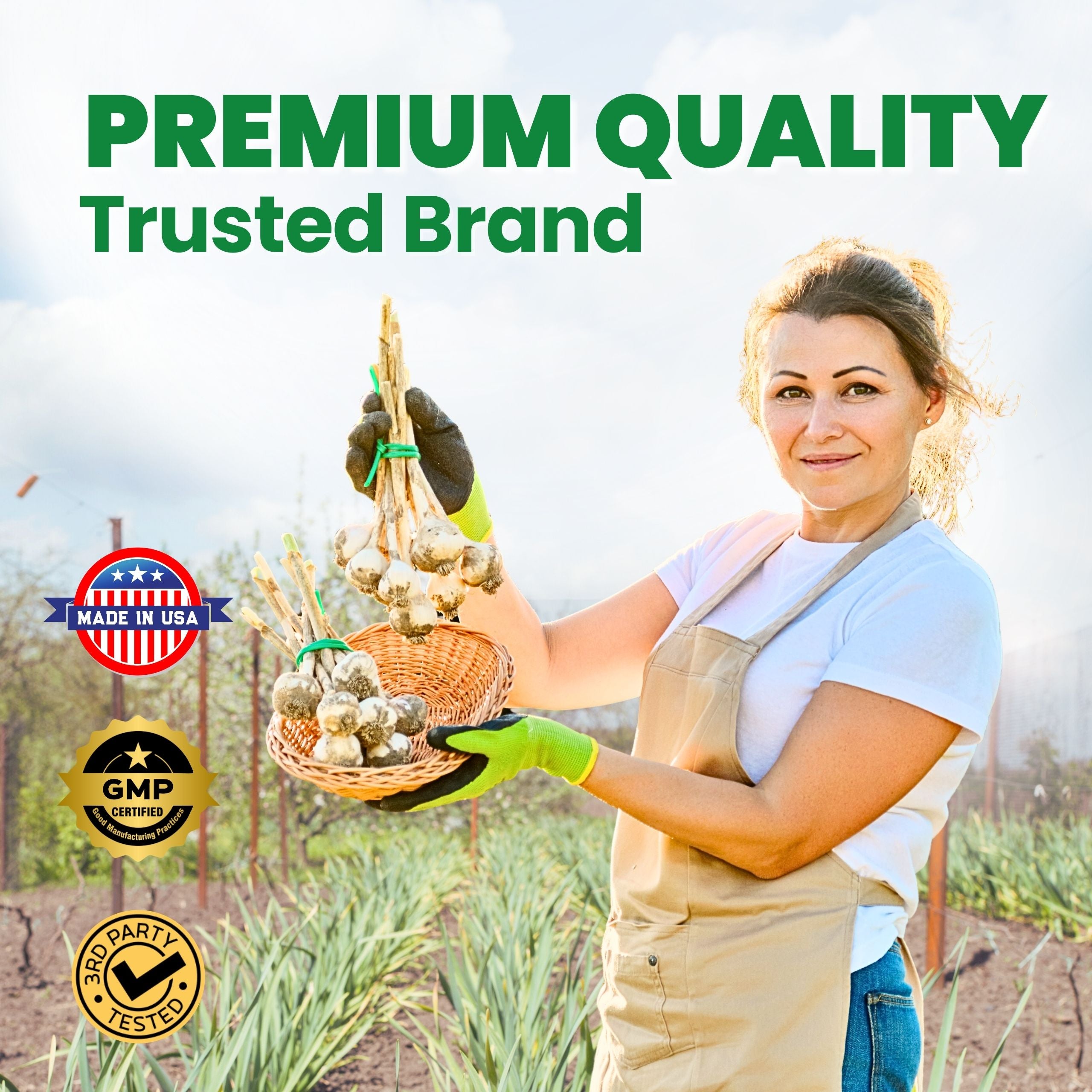 Odorless Garlic Extract