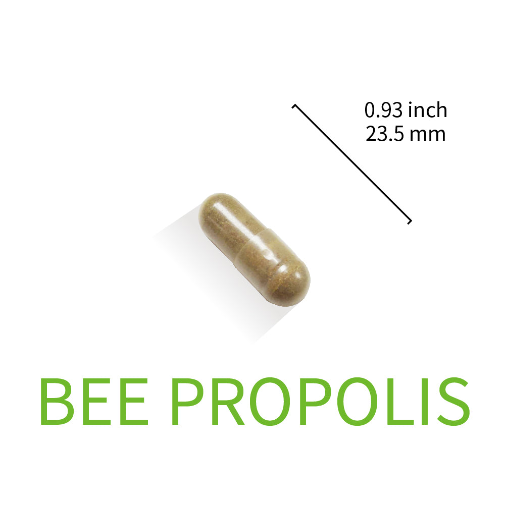 Bee Propolis Capsule