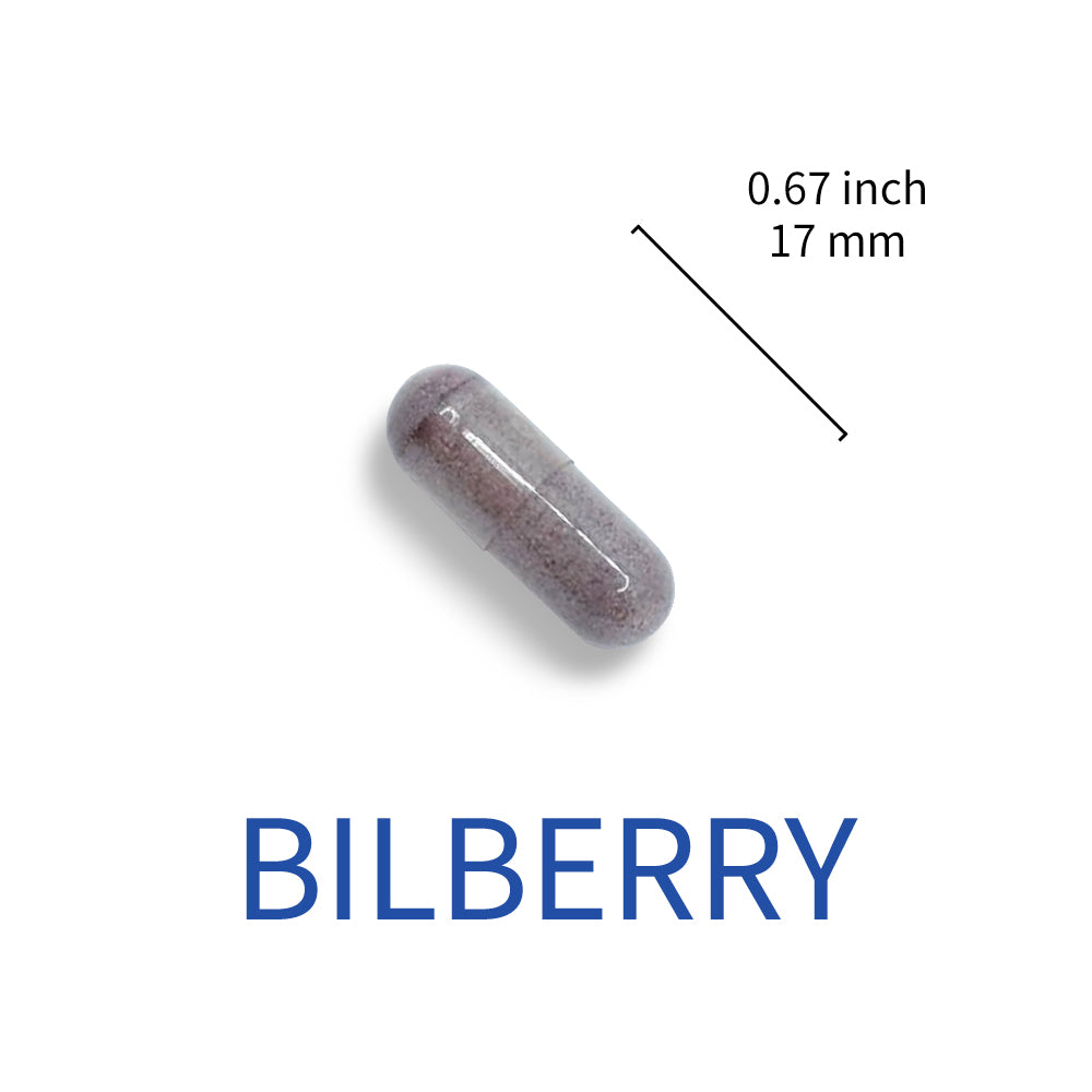 High Concentrated Bilberry Extract 60 mg