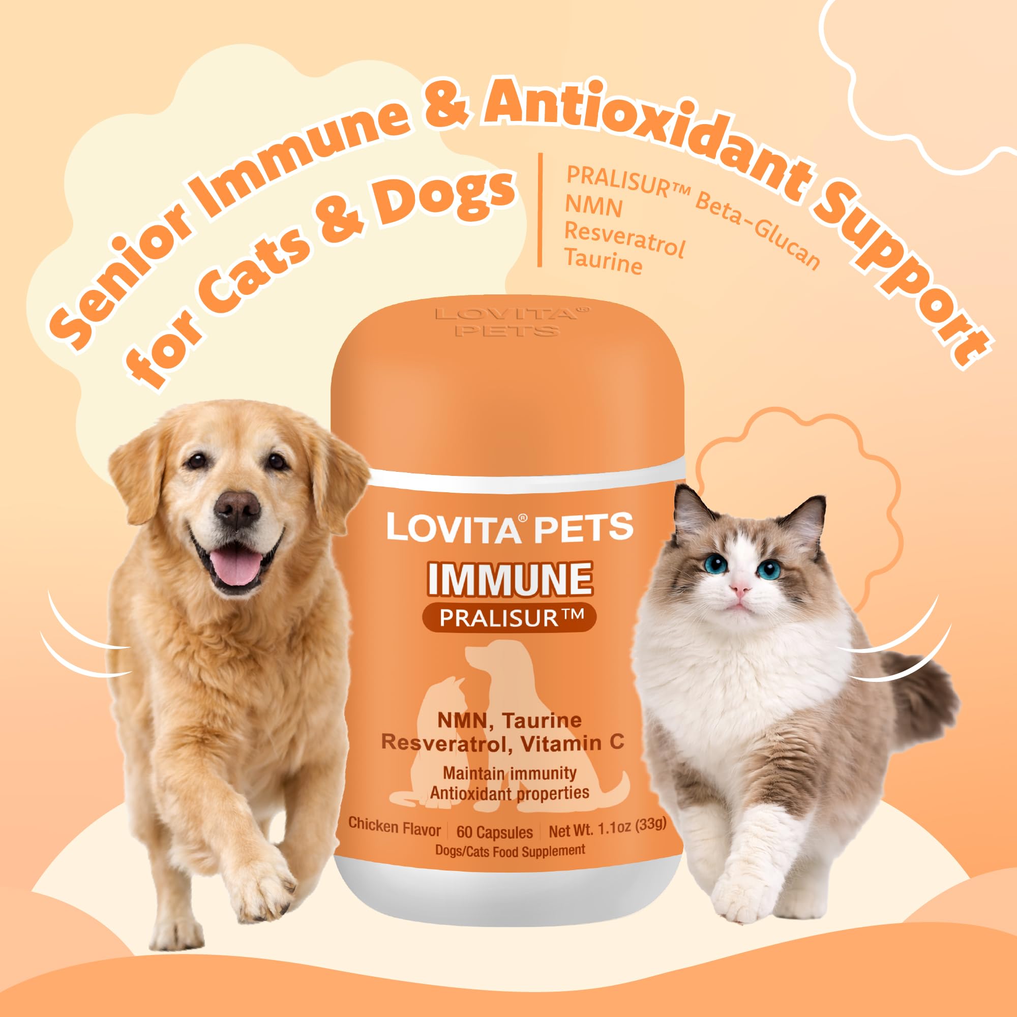 Immune for Senior Wellness