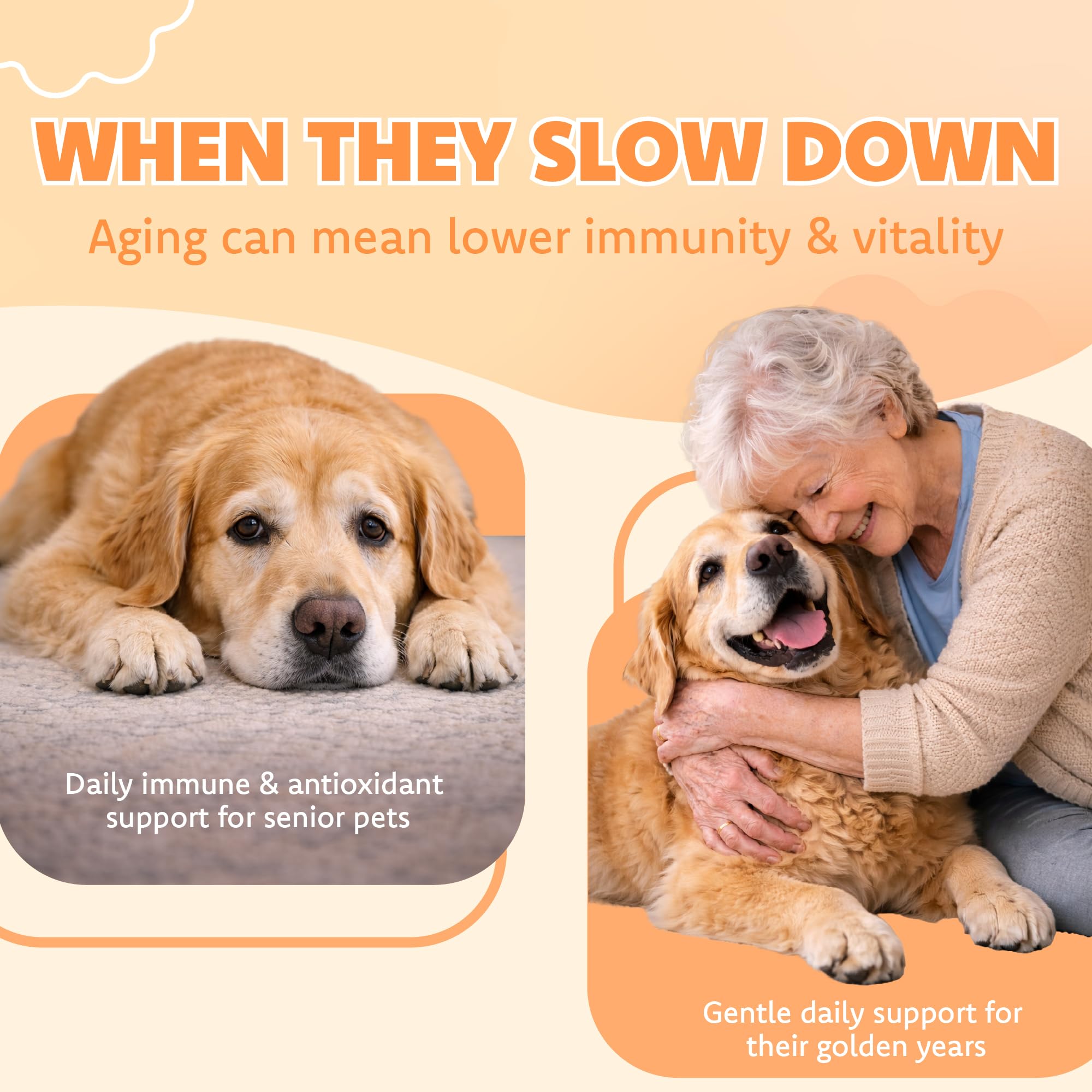 Immune for Senior Wellness