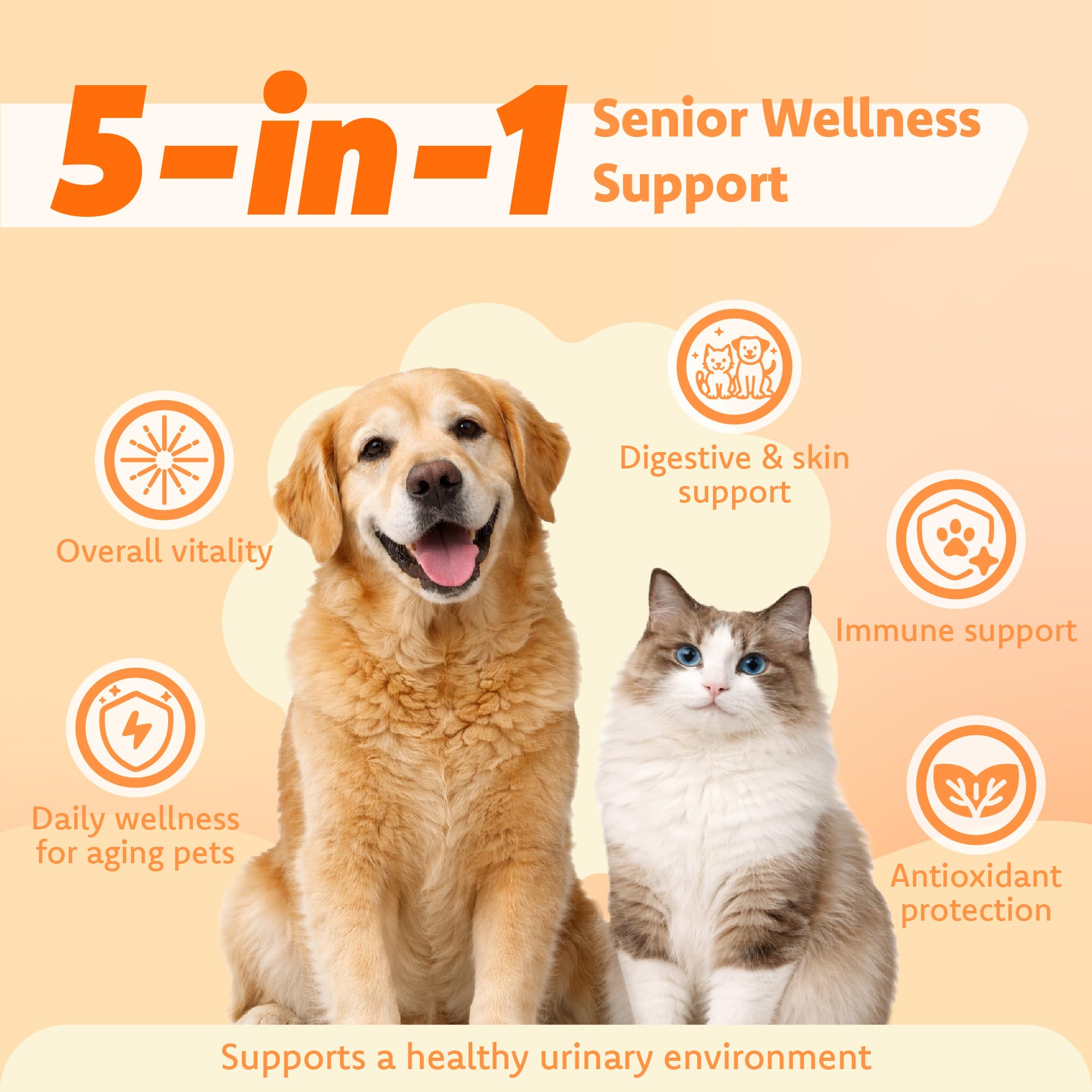 Immune for Senior Wellness
