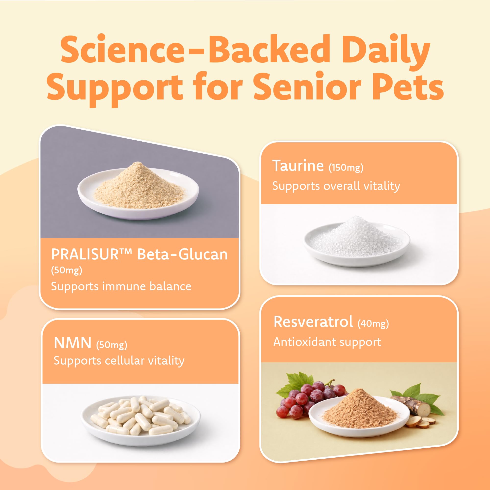 Immune for Senior Wellness